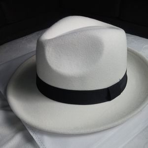 Fedora wide brim hat